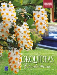 Orquídeas Dendrobium Vol.10 229x300 - Livros